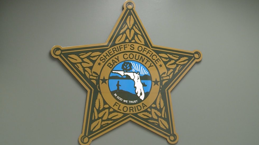 Bcso Bookings