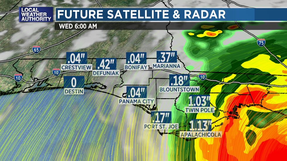 Potential rain for a track of Idalia toward Steinhatchee or Cedar key.