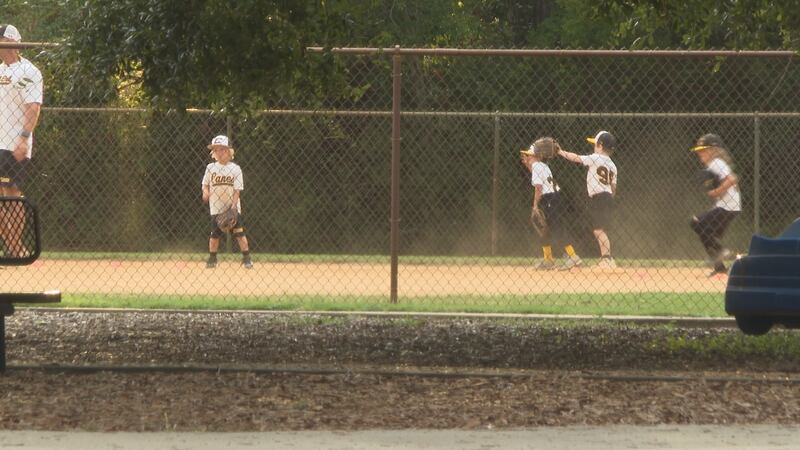 The confusion over who is allowed to sell food at South Walton Little League games at Walton...