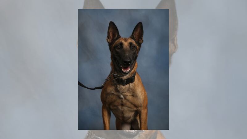 Chesterfield police say Kona had served the department for more than eight years.