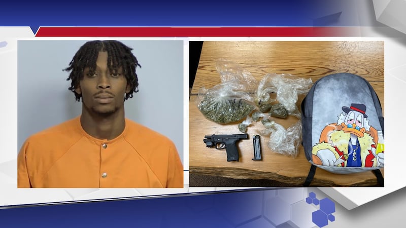 A man is in custody after deputies say they found illegal substances and a gun in his car.