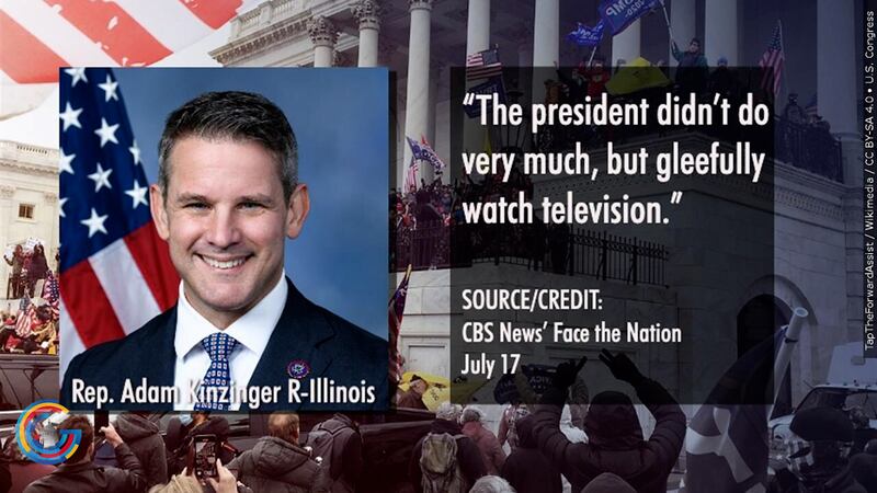 Adam Kinzinger quote