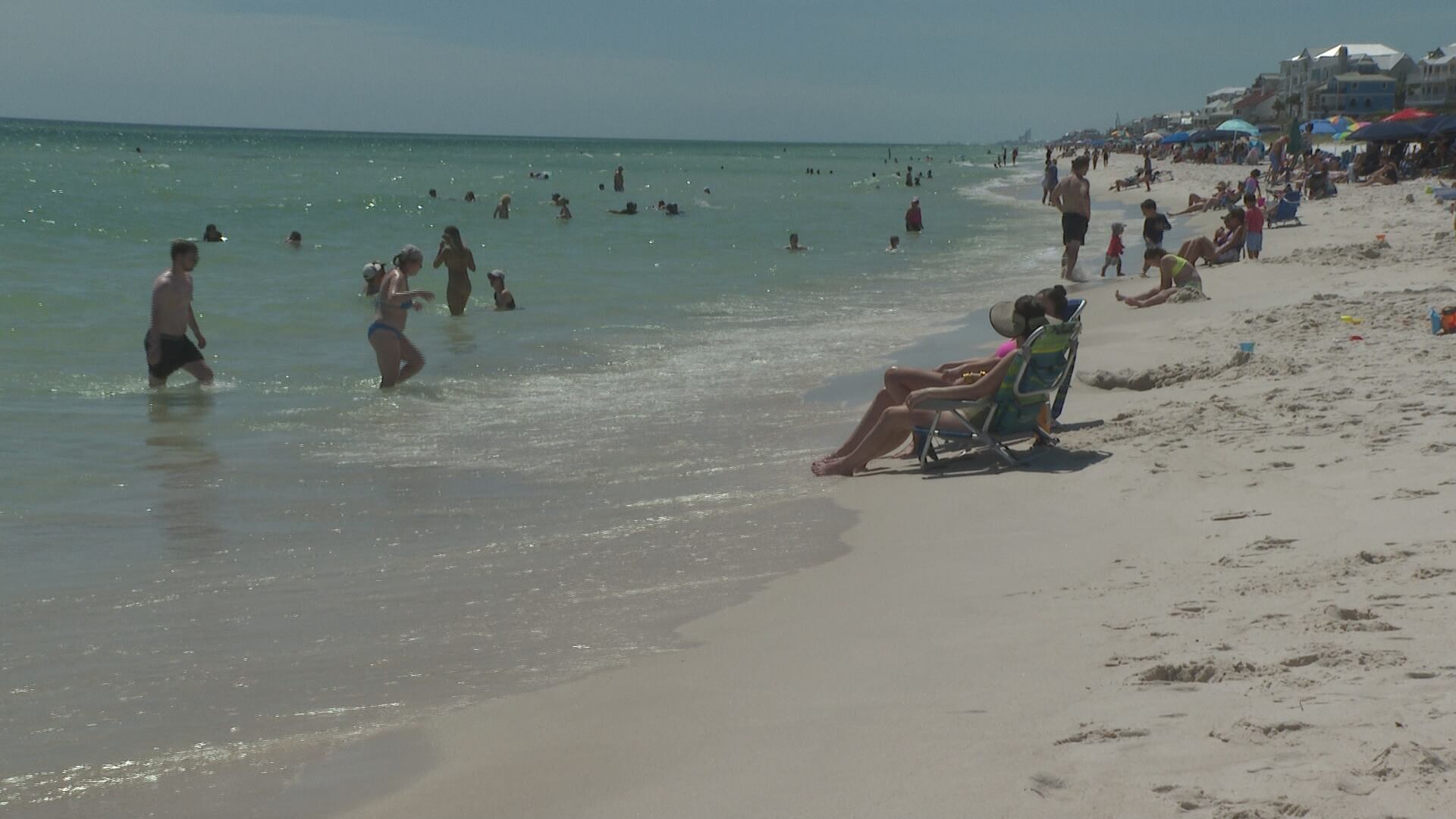 Local biologist, beachgoers speak on Walton County shark attacks - Vimarsana News