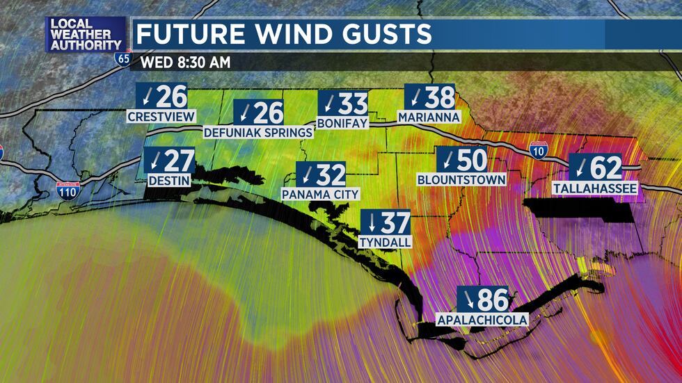 Possible winds for a track of Idalia toward the western edge of the cone near Carrabelle or...